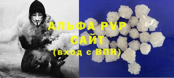 шишки Абаза