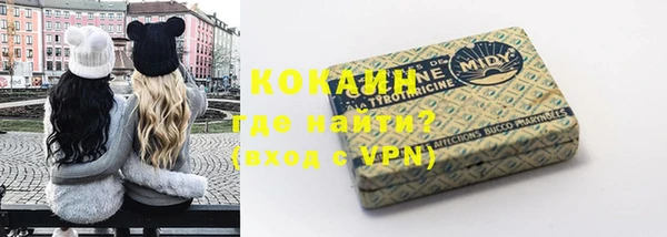 шишки Абаза