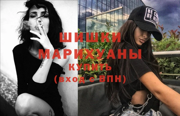 шишки Абаза