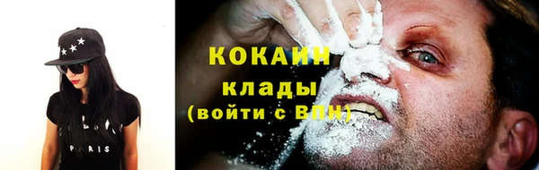 шишки Абаза