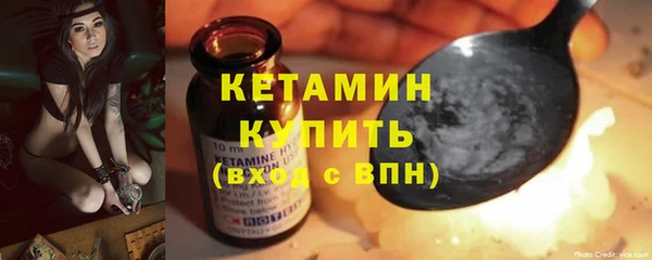 шишки Абаза