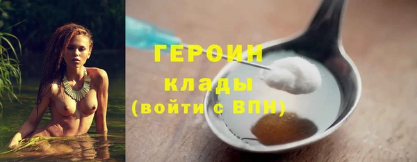 шишки Абаза