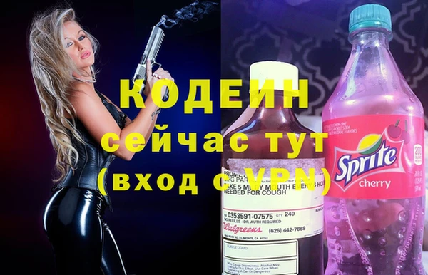 шишки Абаза