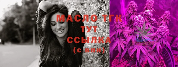 индика Переславль-Залесский