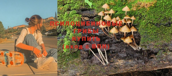 шишки Абаза