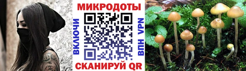 Галлюциногенные грибы GOLDEN TEACHER Ряжск